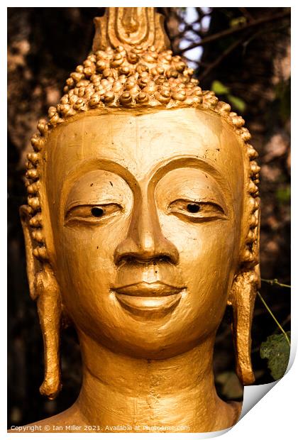 Buddist sculpture in Luang Prabang, Laos Print by Ian Miller
