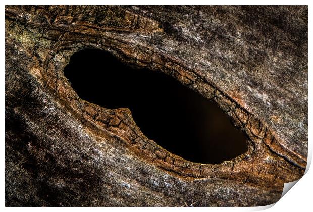 Old Hole Print by Alan Jackson