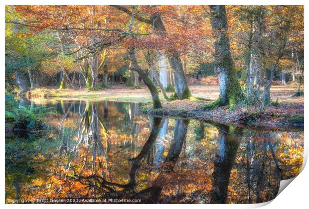 New Forest Reflections Print by Brett Gasser
