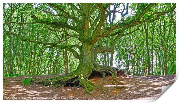 Old Oak with Exposed Roots Print by GJS Photography Artist