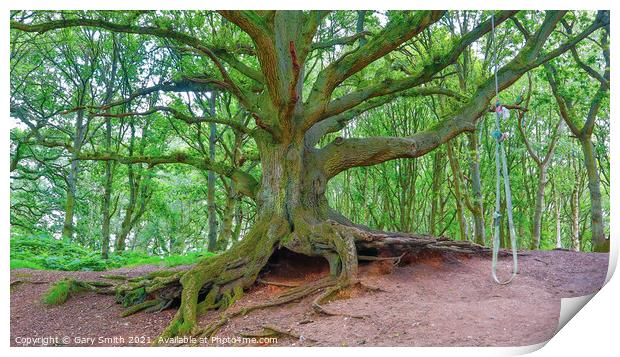 Old Oak Exposed Roots and Kids Rope Swing Print by GJS Photography Artist