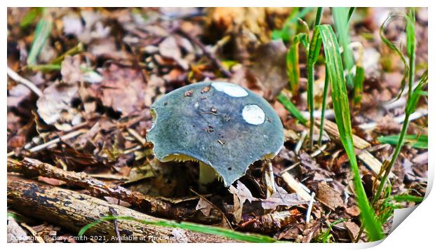 Blue Roundhead Print by GJS Photography Artist