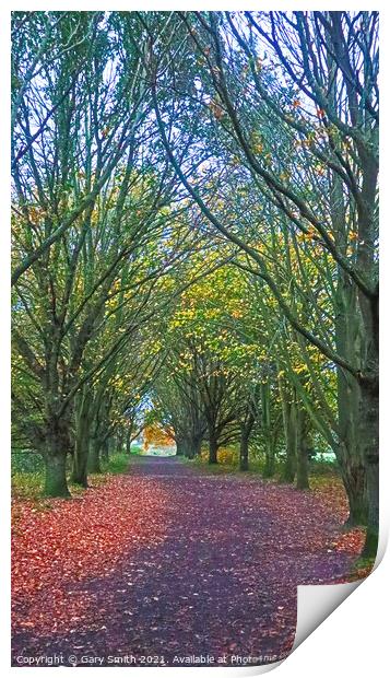Tree Archway at Queen Mother's Avenue  Print by GJS Photography Artist