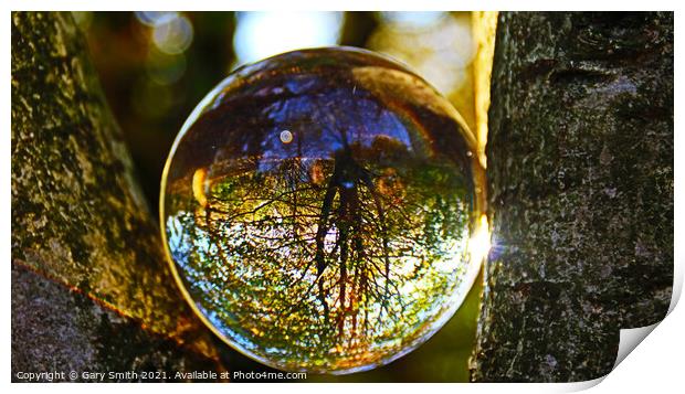 Photo Ball In The Woods Golden Sunlight Breaking Print by GJS Photography Artist