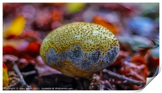 Common Earth Ball Print by GJS Photography Artist