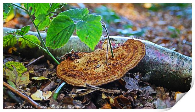 Fungi with Stem Growing out! Print by GJS Photography Artist