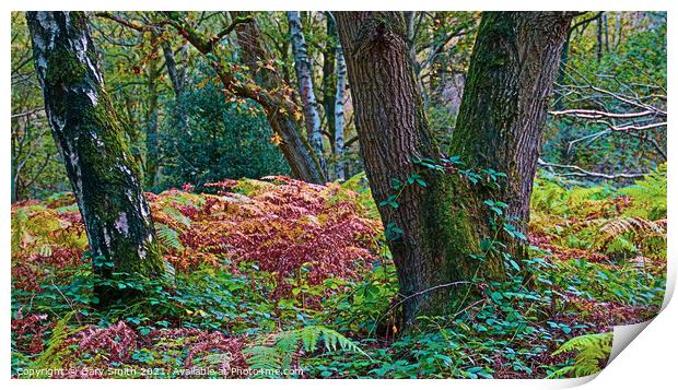 Shapes of Trees Print by GJS Photography Artist