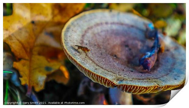 Bug on Colourful Fungi Print by GJS Photography Artist