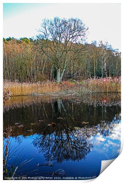 Reflections in the Pond Print by GJS Photography Artist