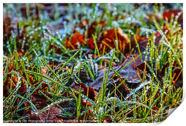 Grass Water Beading Print by GJS Photography Artist