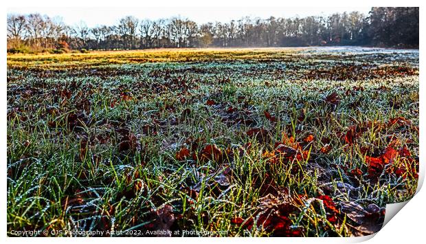 Close to the Frosty Grasses Print by GJS Photography Artist