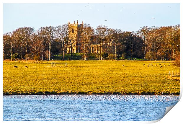 St Withburga's Church and Holkham Lake Print by GJS Photography Artist