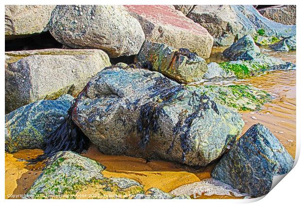 Seaweed Left on Rocks Print by GJS Photography Artist