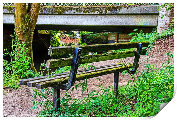 Behind the Bench Print by GJS Photography Artist