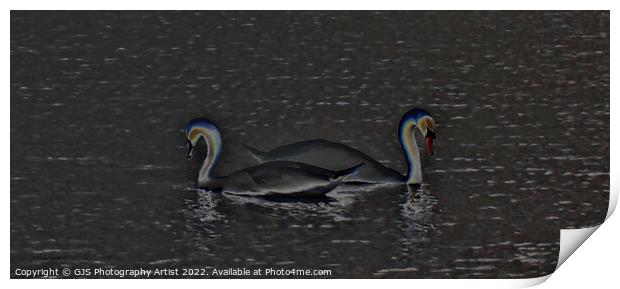Swans Solorized  Print by GJS Photography Artist
