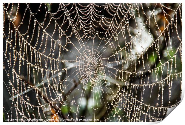 Web Beads Print by GJS Photography Artist