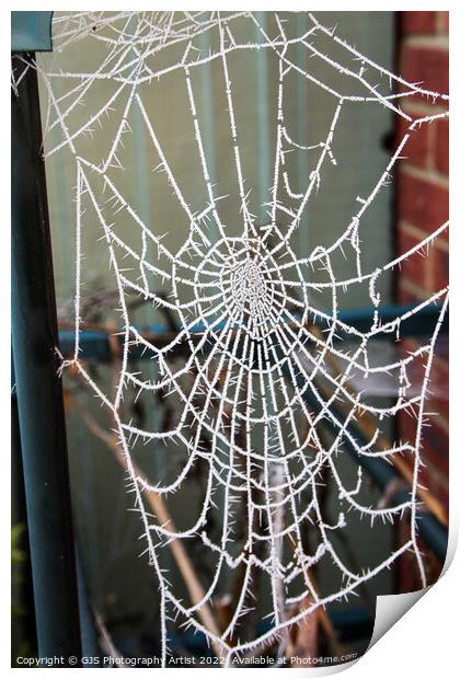 Frozen Cob Webs Holding Up Greenhouse Print by GJS Photography Artist