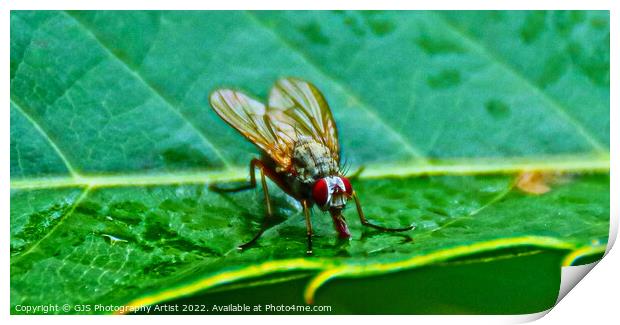 Alienlike Autumn Fly Print by GJS Photography Artist