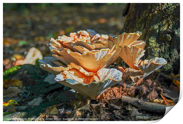 Ground Coral Not Print by GJS Photography Artist