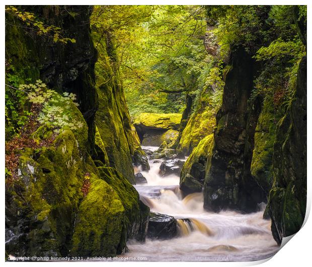 Fairy Glen North Wales Print by philip kennedy