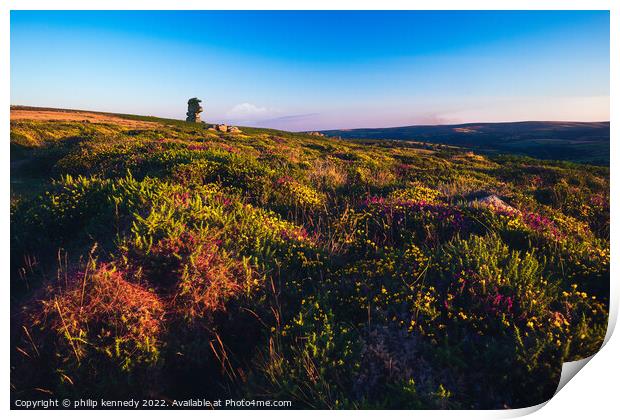 Dartmoor Print by philip kennedy