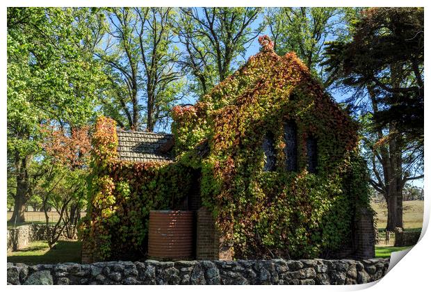 Gostwyck Chapel - All Saints Anglican Church Print by Antonio Ribeiro