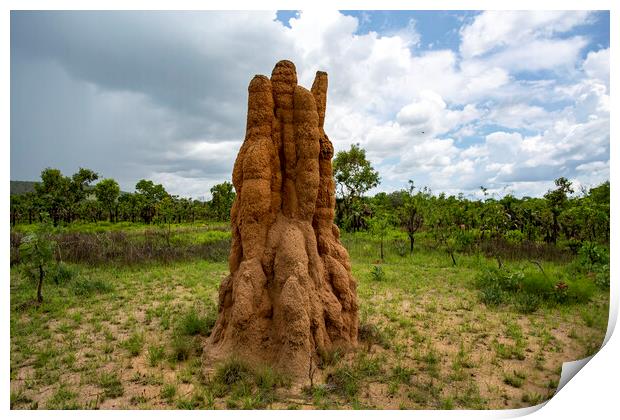 Litchfield Cathedral Termite Mounds Print by Antonio Ribeiro