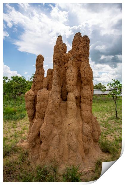 Litchfield Cathedral Termite Mounds Print by Antonio Ribeiro