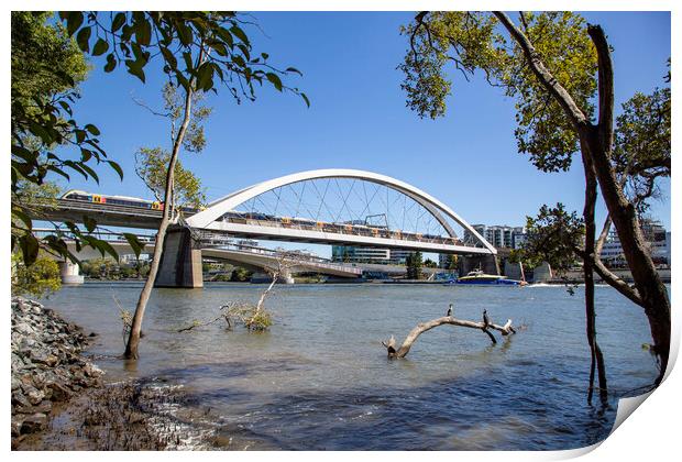 Brisbane Merivale Bridge over the Brisbane River Print by Antonio Ribeiro