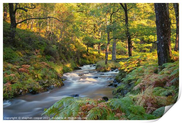 autumn colours Print by stephen cooper