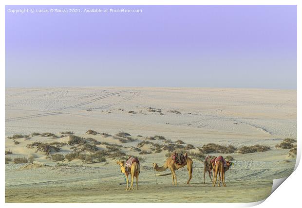 Camels in the desert Print by Lucas D'Souza