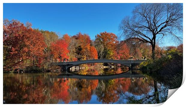 Bow bridge Central park Print by Daryl Pritchard videos