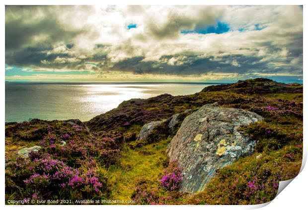 Heather Hills to the Sea Print by Ivor Bond