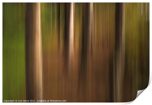 Abstract Trees Print by Ivor Bond