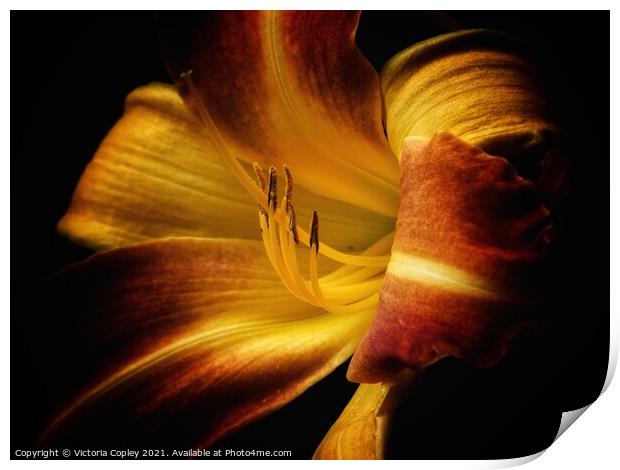 Abstract lily Print by Victoria Copley