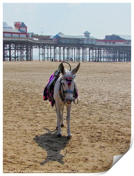Donkey on Blackpool beach Print by Victoria Copley