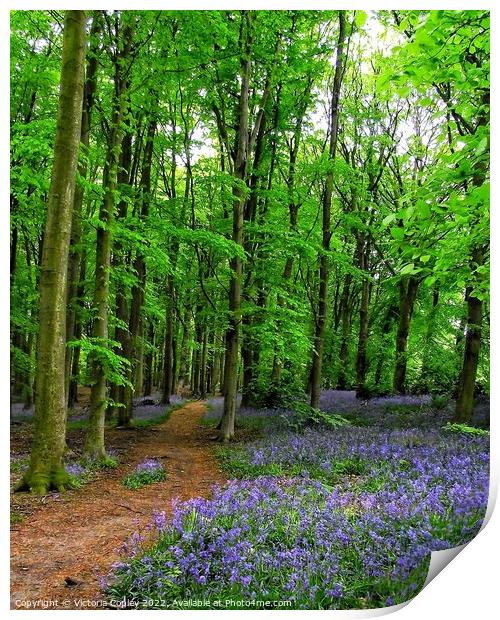 Bluebell Wood Print by Victoria Copley