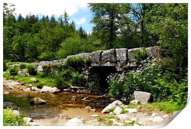Stone arch bridge amidst Dartmoor greenery Print by Roger Mechan
