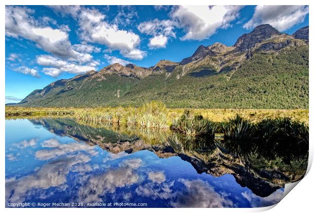 Reflections of Nature Print by Roger Mechan