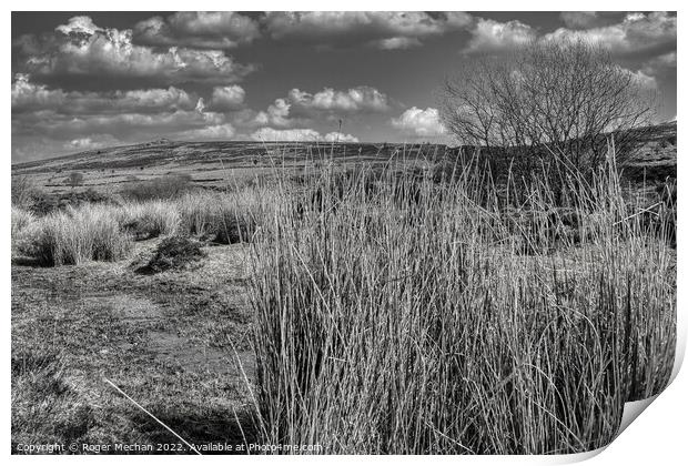 Moorland's Lonely Majesty Print by Roger Mechan