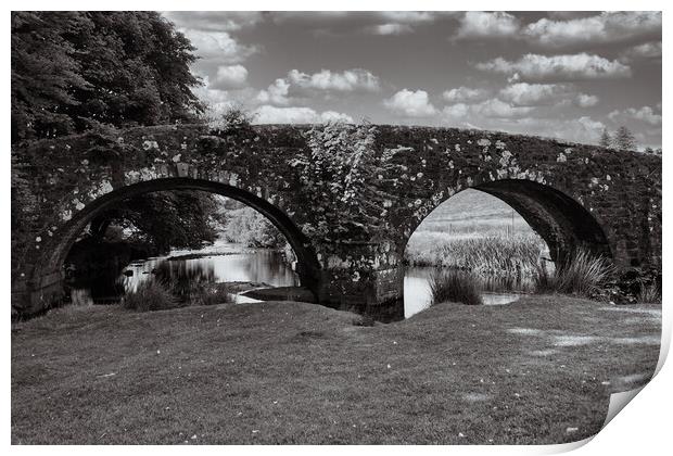 Bridges over the West Dart Print by Roger Mechan