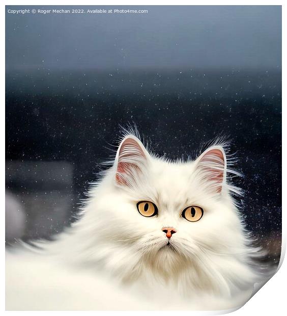 Blooming White Persian Cat Print by Roger Mechan