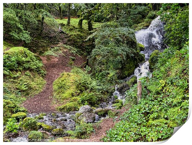 Waterfall from Drakes Leat Burrator Dartmoor Print by Roger Mechan
