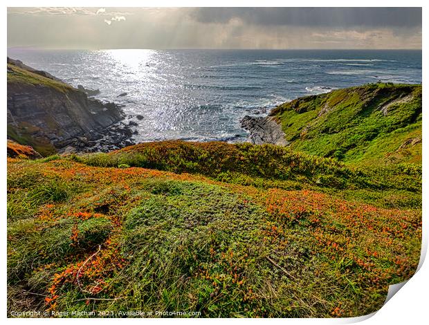Cliffs and Cove the Lizard peninsula Cornwall  Print by Roger Mechan