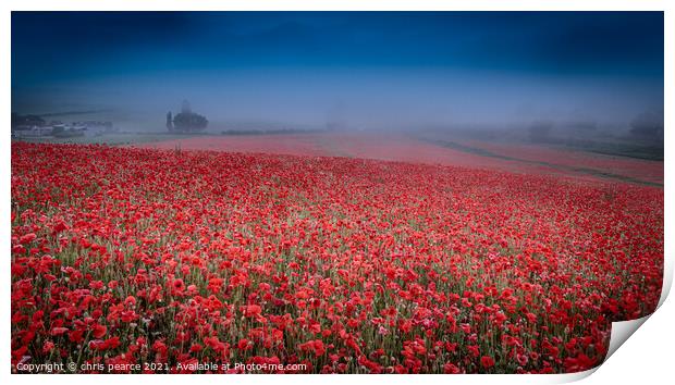 Poppies in the mist  Print by chris pearce