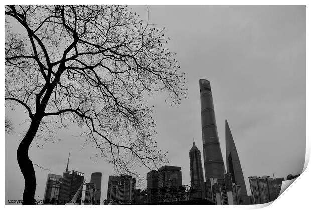Winter in Shanghai Print by Stan Lihai
