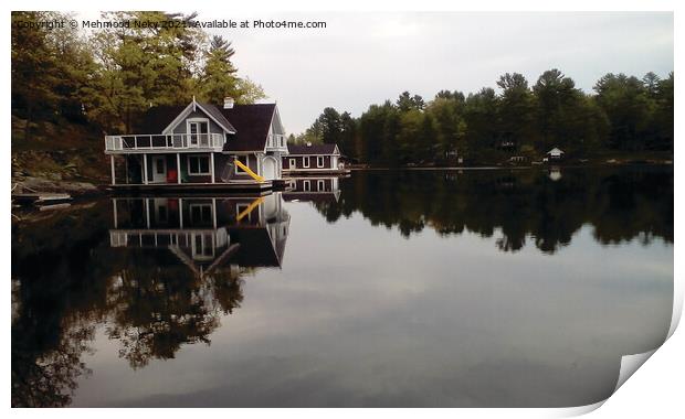 Cottage on Lake Muskoka Print by Mehmood Neky