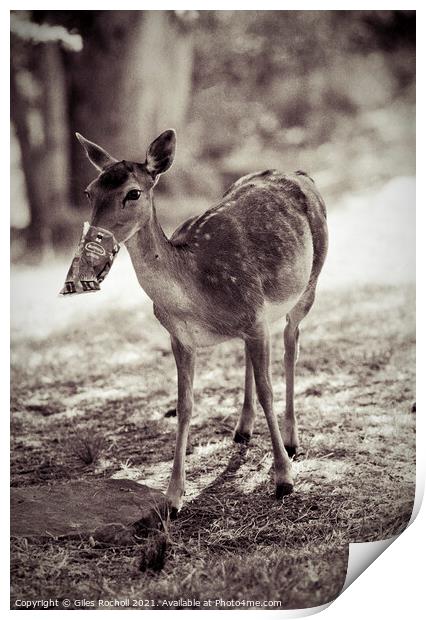 Funny deer eating crisps Print by Giles Rocholl