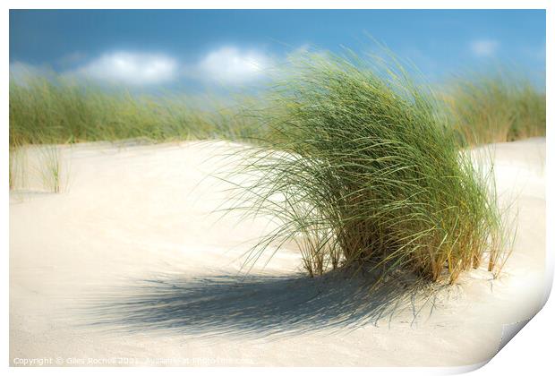 Grassy sand dunes Print by Giles Rocholl