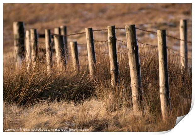 Winter sun abstract fencing Yorkshire Print by Giles Rocholl